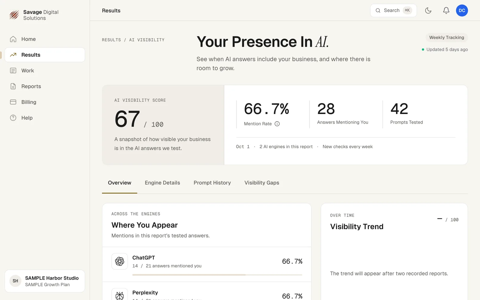The AI Visibility page showing the score out of 100, mention rate, answers mentioning you and prompts tested